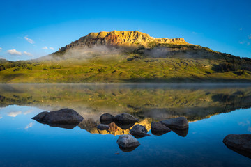 科学家们动漫第一季全集