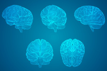 介绍一些经典的动漫作品