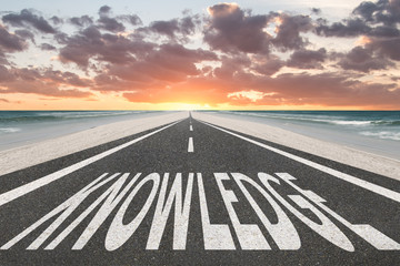 科学家们动漫第一季全集