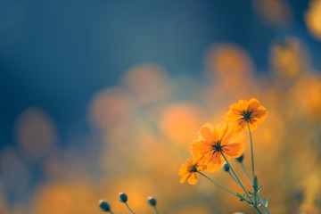 克苏鲁神话中三柱神分别是哪三位？