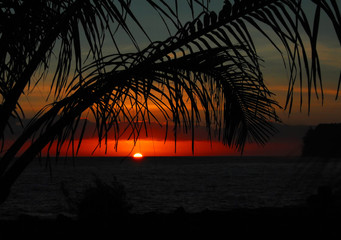 求几部好看的日本动漫。。