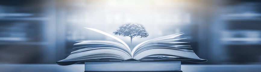 家里摆放的禁忌物品