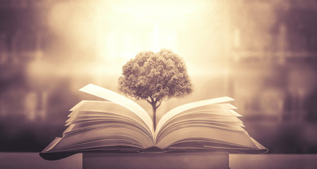 《只有一个地球》课文解析及答案