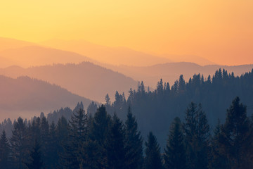 古董局中局五脉原型