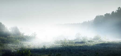 家里摆放的禁忌物品