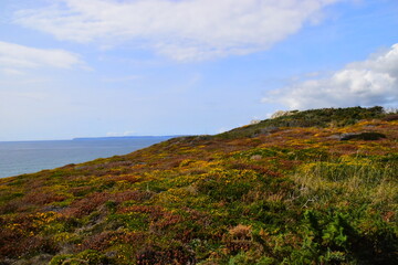 《只有一个地球》课文解析及答案