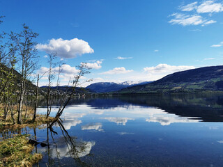 求几部好看的日本动漫。。