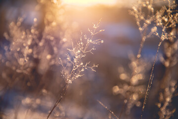 克苏鲁神话中三柱神分别是哪三位？