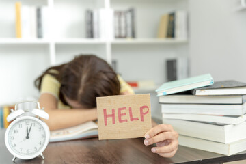 《只有一个地球》课文解析及答案