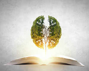 古董局中局五脉原型