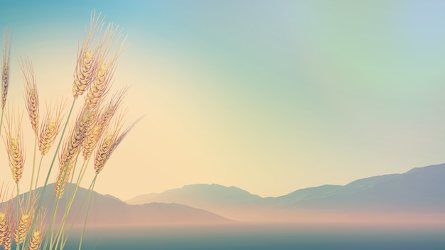 求几部好看的日本动漫。。