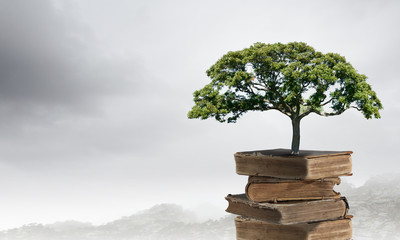 沉香救母的最后结局是什么