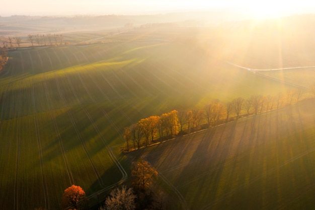 沉香救母的最后结局是什么