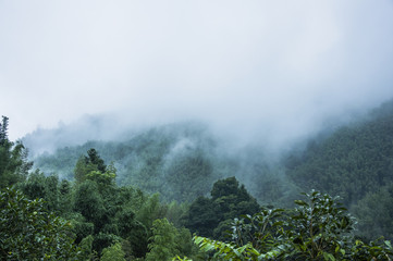 家里摆放的禁忌物品